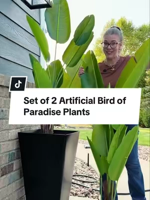 The easiest outdoor planter upgrade 🌿 These 5 ft artificial Bird of Paradise plants come as a set of 2 and are UV resistant for outdoor use. I’m putting mine in my tall front planters - no watering, no replacing dead plants. #ArtificialPlants #BirdOfParadise #OutdoorPlanters #FrontPorchDecor #OutdoorDecor