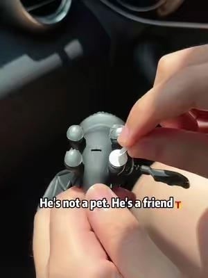 #howtotrainyourdragon #dragon #toothless #keychain #fyp 