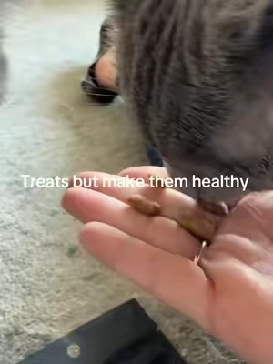 #tiktokshopbacktoschoolsale #catmom #cattreats #healthycattreats 