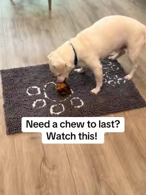 Need a chew to last? Watch this! 🐮 @Mighty Paw #mightypaw #dogs #dogsoftiktok 