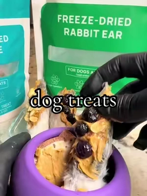 okay I eat healthy, so my dogs too…  #dogtreats #dogtreat #dogsnacks #dogsnack #dogfood 