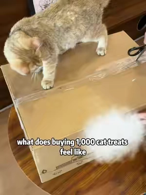 These are my cats FAVORITE treats!They're healthy, clean and comewith 100!! -98% animal protein somostly chicken -No added flavors -Noadded colors -No fillers -And FREESHIPPING!#cat #cattreats #TikTokShopDealsforYouDays #getreadyforfashionweek #getreadyforfashionweek 