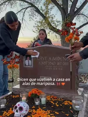 Tal vez recordar también sea una forma de volver a encontrarnos. 🦋🧡
#Recuerdos #DiaDeMuertos #MariposaMonarca #AmorEterno #Ofrenda