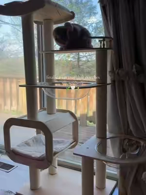 This cat tree is seriously so pretty✨ #cattree #woodencattree #tiktokshopcreatorpicks 