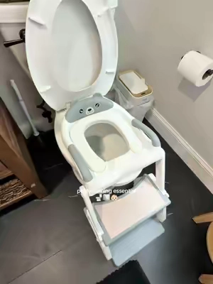 The price is insanely good right now #potty #pottytraining #toddler #toddlermusthaves #pottytrainingtips