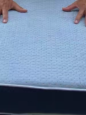 Dog bed #dog #dogsoftiktok #dogs #puppy #pet 