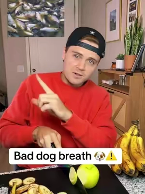 Bad dog breath?! 🐶🤢 #dog #dogbreath #dogparents 