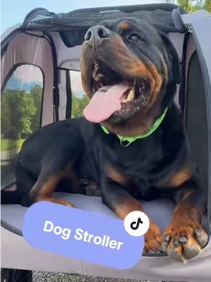 Replying to @Rottie Mama dog stroller 🐶 holds up to 160lbs! Most dog breeds can fit in this 🤩 #dogstroller #dogwalk #dogsoftiktok @VEVOR Outdoor Store 