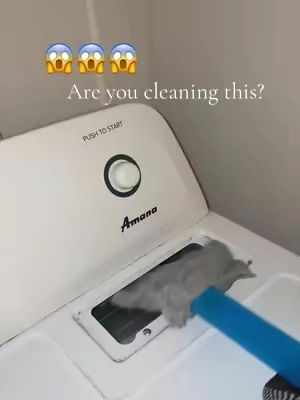 😨😨 #dryerventcleaning #lintremoval 