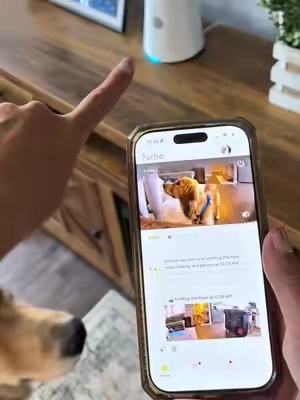 Love this pet camera and the nanny chat feature with it @Furbo Pet Camera #petcamera #tiktokshopcreatorpicks #petproducts #dogaccessories #dogmom 