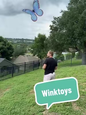 Perfect gift for Christmas! @Winktoys #toy 