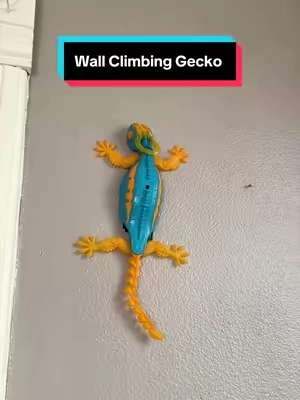 Made sure to be early this year! #christmasgifts #wallclimbinggecko #gecko #kidstoys #christmascountdown 