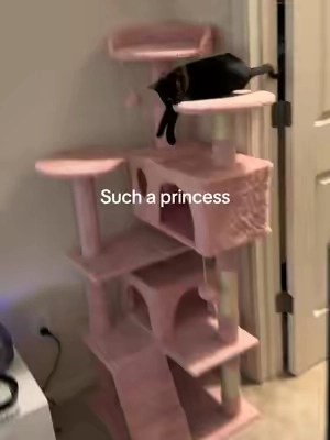 #cattree #tiktokshopsummersale 