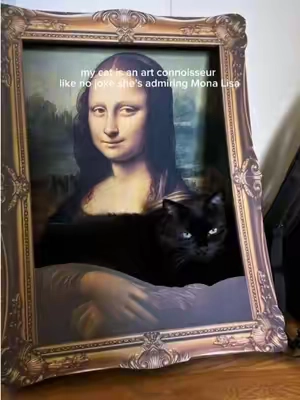 I think Bella would LOVE an art gallery 🎨🖼️ #cattok #catsoftiktok #monalisa #cathouse #tiktokshopcreatorpicks 