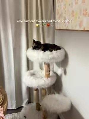 it’s 2026 and people still don’t know nice, quality cat towers exist at an affordable price!! traded our ugly geeen tower that only lasted a year for this gem- made with the nicest quality wood, the coziest sleeping spots, and built to LAST ✨ #cats #catsoftiktok #cattree #cattower #fyp 