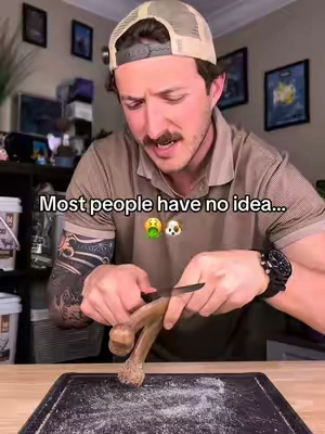 This was so gross to learn about these bones.. #wildwolf #dog #dogchew #dogs #dogtreats 