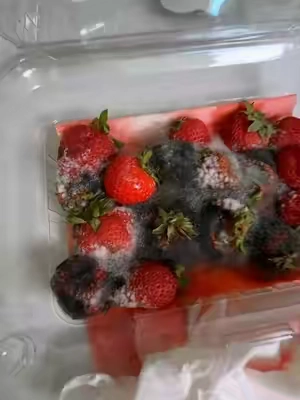 I don’t understand why everyone doesn’t do this #kitchengadgets #fruit #foodstorage 