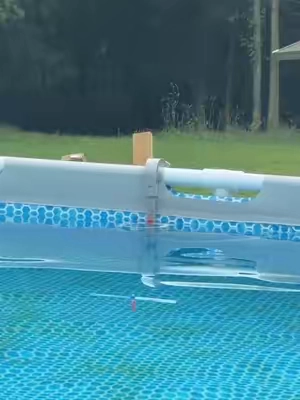 #skimmer #poolskimmer #TikTokshopbacktoschool 