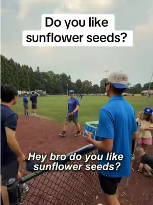 Do you like sunflower seeds? 