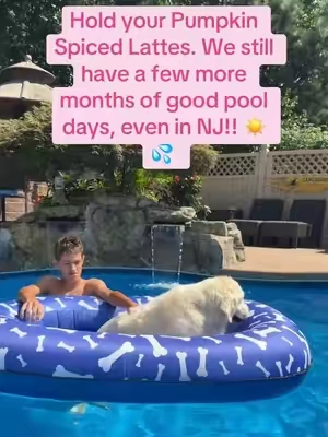 There are still pool days in October, relax and get your dog the giant float 😂 😎 💦 #dogfloat #dogpool #dogswimming #dogaccessories #dogmom 
