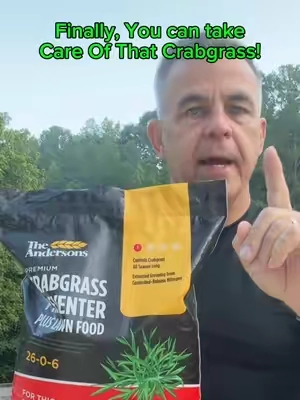 🔥 SELLING FAST! The Andersons Premium Crabgrass Preventer Plus Fertilizer 26-0-6 with Dimension. About the product Description *   Application 1 of The Andersons Lawn Program *   This is a pre-emergent and should be applied in the spring prior to weed germination *   A fall application can also be made if additional control is needed *   The active ingredient Dimension will provide up to 4 months of protection against 24 grass and broadleaf weeds *   Includes lawn fertilizer with both quick- and slow-release nitrogen for a fast spring green-up and extended feeding *   Safe for all turf types except dichondra and bentgrass. @Andersons Lawn #weedcontrol #lawncare #lawn    #creatorsearchinsights #lawnfixing 