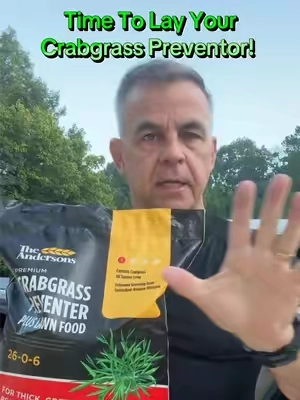 🔥 SELLING FAST! The Andersons Premium Crabgrass Preventer Plus Fertilizer 26-0-6 with Dimension. About the product Description *   Application 1 of The Andersons Lawn Program *   This is a pre-emergent and should be applied in the spring prior to weed germination *   A fall application can also be made if additional control is needed *   The active ingredient Dimension will provide up to 4 months of protection against 24 grass and broadleaf weeds *   Includes lawn fertilizer with both quick- and slow-release nitrogen for a fast spring green-up and extended feeding *   Safe for all turf types except dichondra and bentgrass. @Andersons Lawn #weedcontrol #lawncare #lawn    #creatorsearchinsights #lawnfixing 