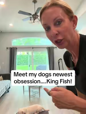 Meet my dogs newest obsession….King Fish! @Wild Wolf Bully Sticks #wildwolf #kingfish #dogsoftiktok 