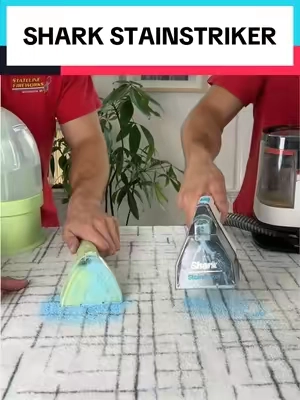 Which ones better? #stainremover #staincleaner #stain #shark #sharkstainstriker 
