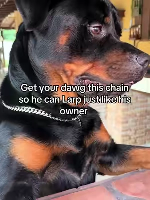 7672484898162150687
