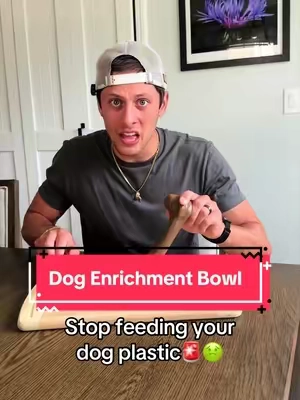 This is concerning…. 🐶 #dogparents #dogenrichment #tiktokshopcreatorpicks #dogessentials #petlovers 