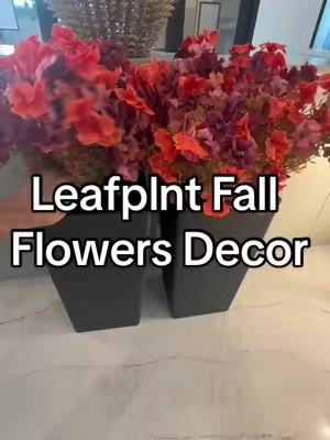 Every door at our apartment complex wishes was us #falldecor #falldecorideas @LEAFPLNT Shop 