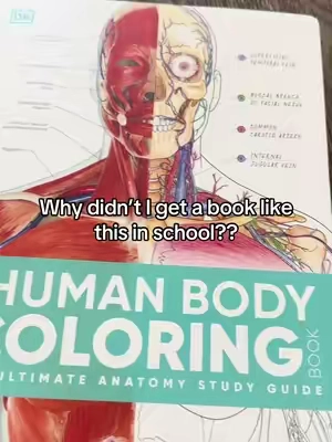 I’m more of a visual learner and I really wish I had something like this back in college!!! #anatomy #school #nursing #nursingstudent #tiktokshopsummersale 