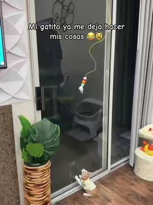 El juegue interactivo que te saca de aprietos 😂  #cat #back2school #hogar #gatos #juegos 