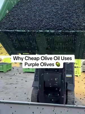 Purple olives aren’t bad, they’re just ripe. And ripe olives give way more oil per ton, which is why most brands wait for them. We pick ours green. Less oil, more polyphenols, better taste. Costs us more, but that’s the whole point.