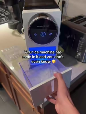 7672563717204217119