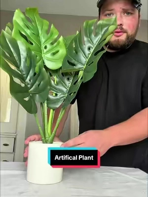 Artifical plants> #plants #artificalplants #homedecor #decoration #homeessentials 