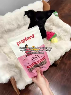 Keep the training session, short and sweet. They tend to lose interest and focus after about five minutes anyways 😅🤣@Pupford #dogtreats #DogTraining #puppylife 