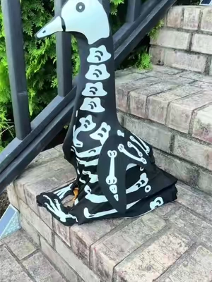 Meet ducklton. My duck who is dressed up as a skeleton #porchgoose #porchgooseoutfit #porchdecor #halloweendecor #homedecor 