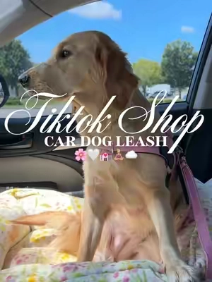 Car dog leash 🌸🤍💒🧘🏼‍♀️☁️#fyp #dogtravel #dogessentials #dogleash #dogharness 