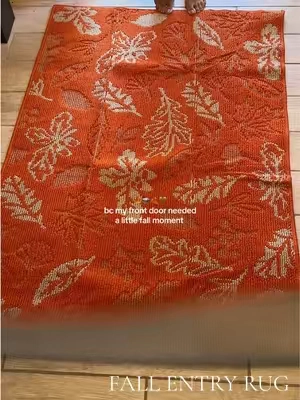 #doormat #washablerug #entryrug 