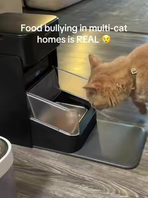 Food bullying in multi-cat homes is more common than people realize. This RFID automatic cat feeder only opens for the cat wearing the registered collar, so dominant cats and food thieves can’t steal meals anymore. It also closes when your cat walks away — which means no sneaking in after. Each cat gets their own portion, less stress, and calmer mealtimes. Perfect for multi-cat households, anxious eaters, and cats that eat too fast. Tip: add it to your cart to see available coupons. #tiktokshopcreatorpicks #summervibes  #summeressentials #BackToSchool #TikTokshopbacktoschool  
