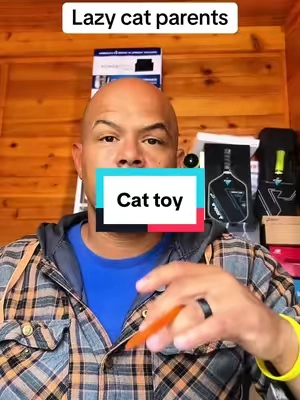 This cat toy makes him crazy!🤪 #catlover #catsoftiktok #fyp #cattoys #catparent