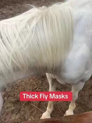 7672751993038949646