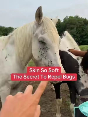 #tiktokshop #skinsosoft 