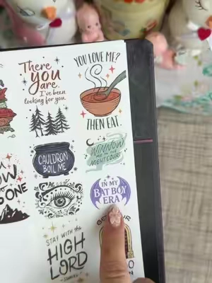 Ok but stickers too #TikTokShopCreatorPicks #TikTokshopbacktoschool #BackToSchool #planner #acotar 