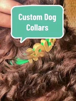 My favorite way to make their collar as cute as they are 🥹🐾 #dogcollar #dogaccessories #dogmom #petfinds #dogsoftiktok