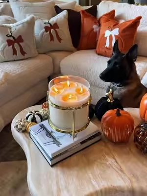 A little pumpkin moment for the couch 🎃🤎 #PumpkinPillowCovers #FallPillowCovers #PumpkinDecor #FallDecor #FallHomeDecor 