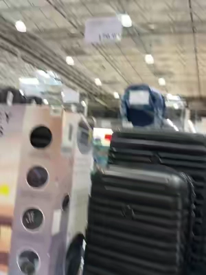 7672797302519647502