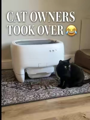 These are technically washable dog pee pads… but apparently the cat owners have taken over. 😂 They make the BEST litter mats! They help catch litter, protect your floors from accidents, and when they get dirty, just toss them in the washer. Plus, they come in a 2-pack with so many cute patterns. 🤎🐈‍⬛ #littermat #catmusthaves #litterbox #catowners #catmom 