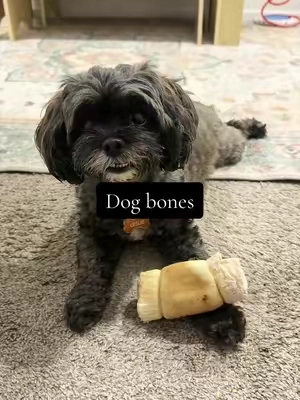 No rawhide and no mess! #dogtreats #dogbones #smalldog #heavychewer #dogmom 